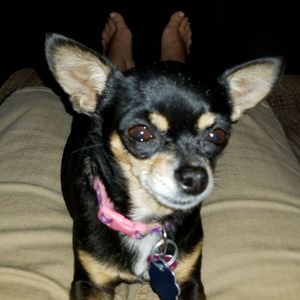 Meet your Posher, Renee